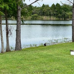 Meet your Posher, Shelby